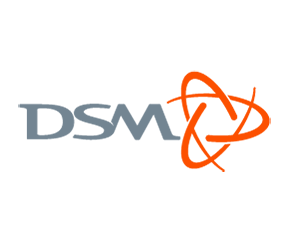 DSM logo